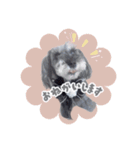レーチェのスタンプ⋈（個別スタンプ：6）