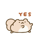 ぽちゃリスのスタンプ（個別スタンプ：3）