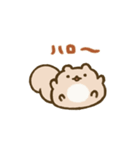 ぽちゃリスのスタンプ（個別スタンプ：6）