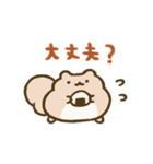 ぽちゃリスのスタンプ（個別スタンプ：8）