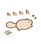 ぽちゃリスのスタンプ（個別スタンプ：20）