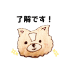 困りいぬ（個別スタンプ：1）