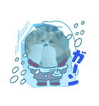 dog shibaken moka（個別スタンプ：2）
