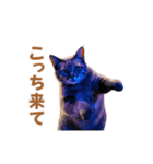 動く！踊る猫ミーム！(パート20)（個別スタンプ：4）