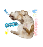 まいきーくん（個別スタンプ：4）