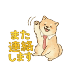 可愛い柴犬のおしごとスタンプ（個別スタンプ：3）