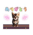 ベンガルキャットの子猫スタンプ（個別スタンプ：4）