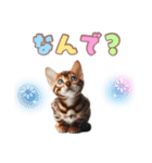 ベンガルキャットの子猫スタンプ（個別スタンプ：39）