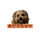 ロジェスタンプ（個別スタンプ：8）
