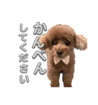 孫とクマとぶっちゃん（個別スタンプ：28）