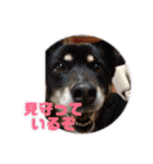 孫とクマとぶっちゃん（個別スタンプ：32）