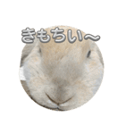そいちゃ〜実写版〜（個別スタンプ：9）