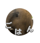 そいちゃ〜実写版〜（個別スタンプ：19）