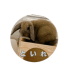 そいちゃ〜実写版〜（個別スタンプ：39）