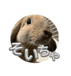 そいちゃ〜実写版〜（個別スタンプ：40）