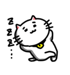 きもねこ in 山県（個別スタンプ：2）