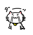 きもねこ in 山県（個別スタンプ：9）