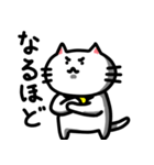 きもねこ in 山県（個別スタンプ：21）