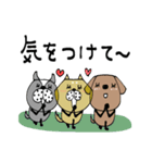 mottoのなかよしスタンプ♡犬の日（個別スタンプ：7）