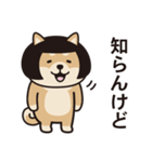 おかっぱ柴犬（個別スタンプ：3）