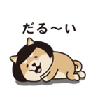 おかっぱ柴犬（個別スタンプ：14）