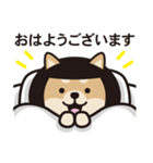 おかっぱ柴犬（個別スタンプ：19）