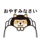 おかっぱ柴犬（個別スタンプ：20）