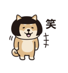 おかっぱ柴犬（個別スタンプ：22）