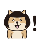 おかっぱ柴犬（個別スタンプ：28）