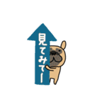 みんなのフレンチブルドッグ 犬の日2024（個別スタンプ：13）