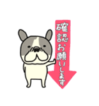 みんなのフレンチブルドッグ 犬の日2024（個別スタンプ：23）