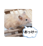 可愛いこつぶの日常4（個別スタンプ：3）