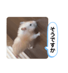可愛いこつぶの日常4（個別スタンプ：4）