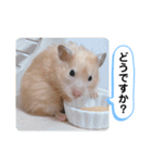 可愛いこつぶの日常4（個別スタンプ：6）