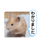可愛いこつぶの日常4（個別スタンプ：7）