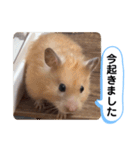 可愛いこつぶの日常4（個別スタンプ：15）
