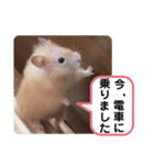 可愛いこつぶの日常4（個別スタンプ：17）