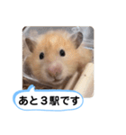 可愛いこつぶの日常4（個別スタンプ：18）