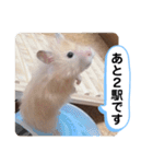 可愛いこつぶの日常4（個別スタンプ：19）