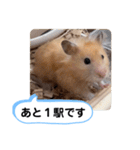 可愛いこつぶの日常4（個別スタンプ：20）