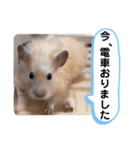 可愛いこつぶの日常4（個別スタンプ：21）