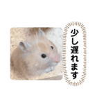 可愛いこつぶの日常4（個別スタンプ：24）