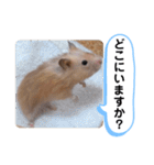 可愛いこつぶの日常4（個別スタンプ：26）