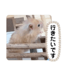 可愛いこつぶの日常4（個別スタンプ：27）