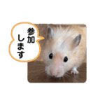 可愛いこつぶの日常4（個別スタンプ：28）