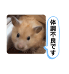 可愛いこつぶの日常4（個別スタンプ：30）