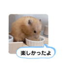 可愛いこつぶの日常4（個別スタンプ：32）