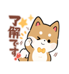 毎日使える★しば犬スタンプ（個別スタンプ：2）