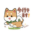 毎日使える★しば犬スタンプ（個別スタンプ：17）