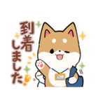 毎日使える★しば犬スタンプ（個別スタンプ：20）